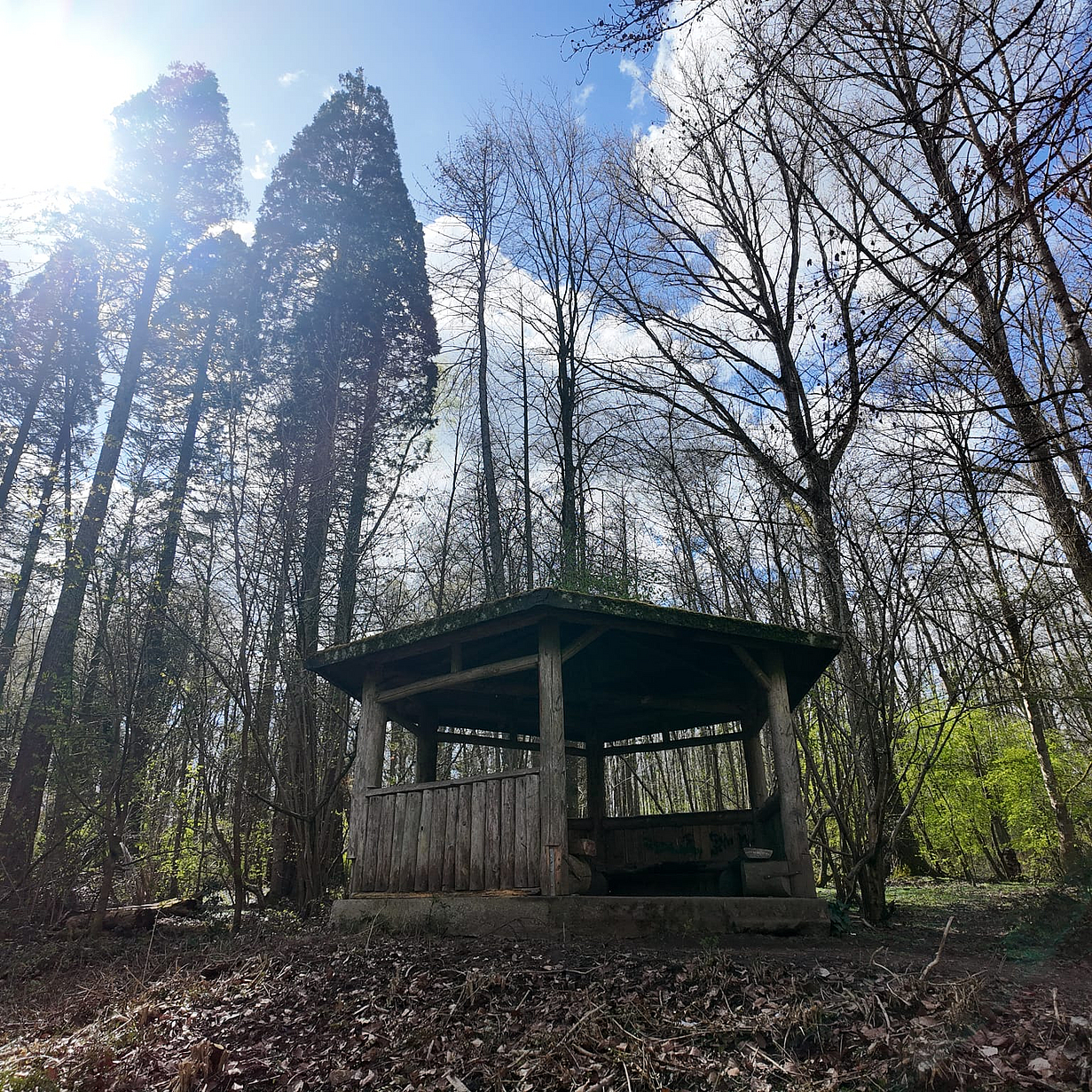 WhatsApp_Image_2026-04-07_at_08