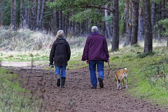 Zwei Personen von hitnten abgebildet einen Hund spazieren führend