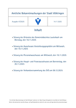 2025/47 Amtliche Bekanntmachungen der Stadt Völklingen