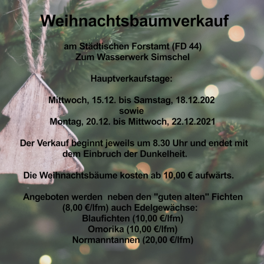 image-4731