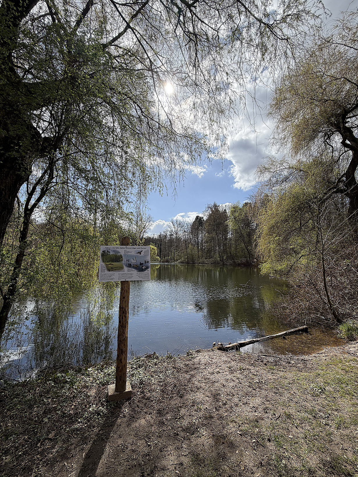 260401-Simschel