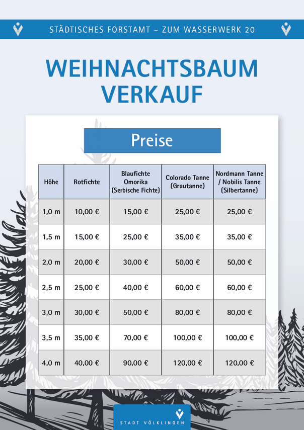 DD_241111_Forstamt_Weihnachtsbaumverkauf_Preise