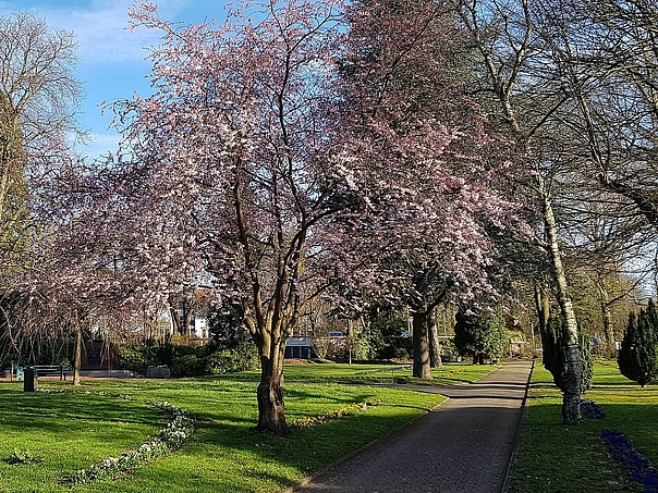 Ehrenfriedhof