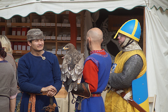 Falkner auf dem Mittelaltermarkt 