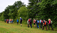 Eine Gruppe Wanderer und Wandererinnen mit Rucksäcken bewegt sich über eine grüne Wiese