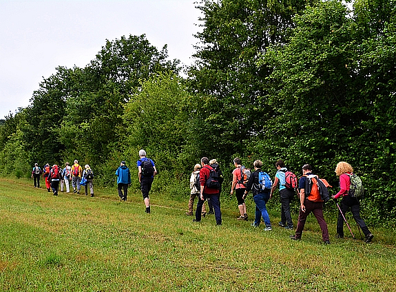 Eine Gruppe Wanderer und Wandererinnen mit Rucksäcken bewegt sich über eine grüne Wiese