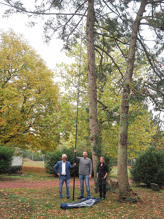 Drei Personen vor einem hohen Baum mit der Teleskoplanze