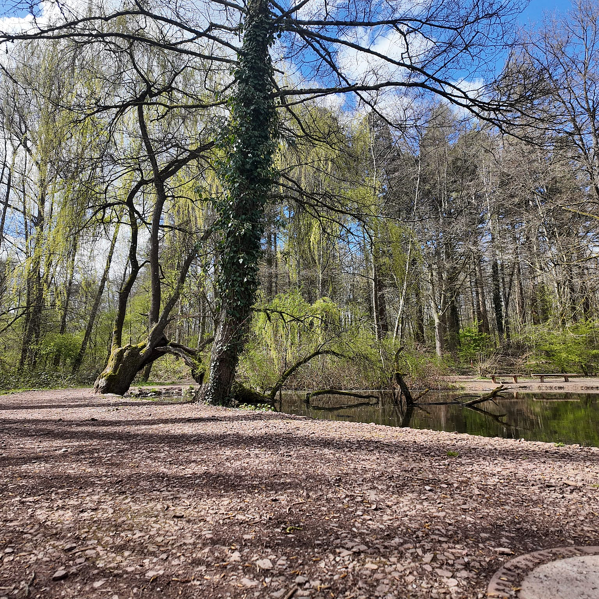 WhatsApp_Image_2026-04-07_at_08