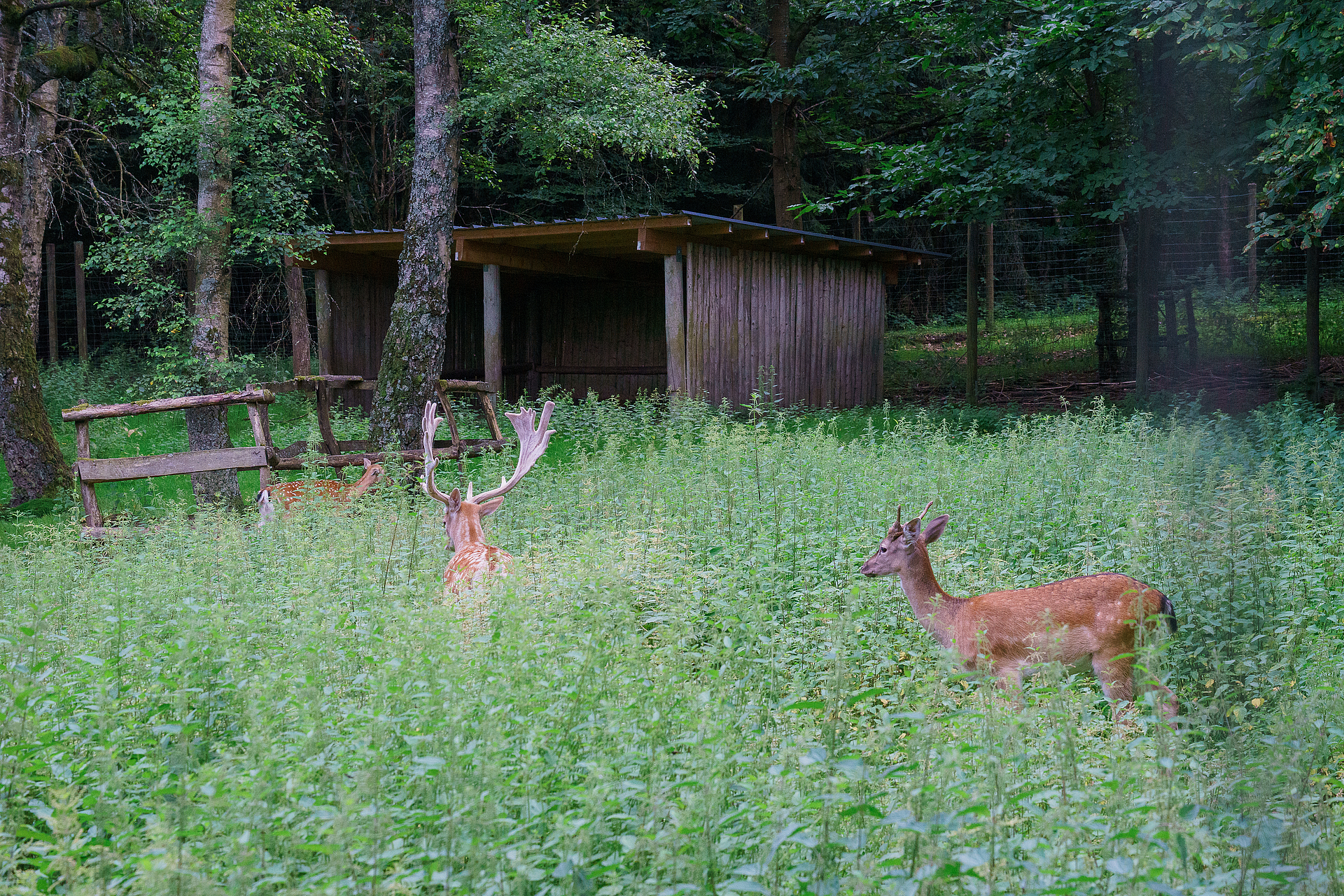 image-4682